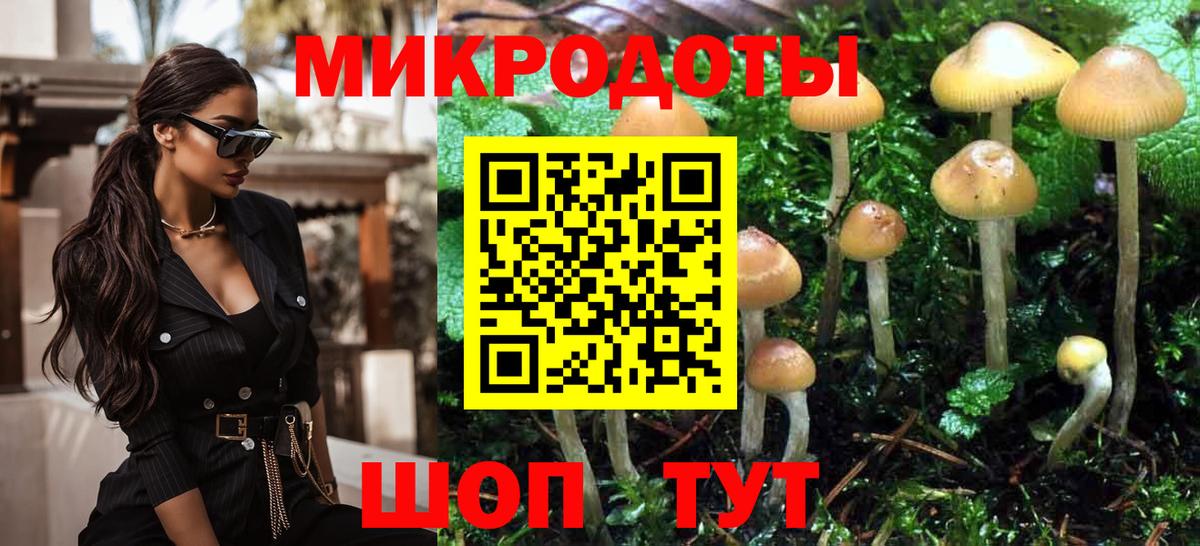 Псилоцибиновые грибы Cubensis Сертолово